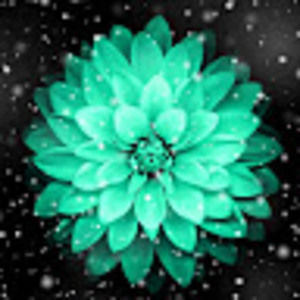 Meet your Posher, Starr